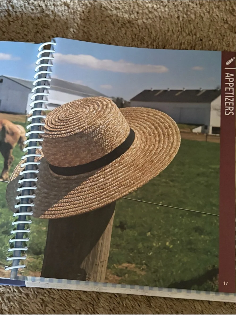 Amish Community Cookbook by Joel Kratzer; Carole Roth Giagnocavo